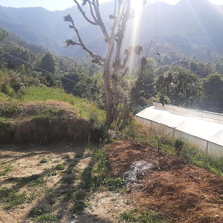Parvatiya Homestay Mussoorie Exterior photo